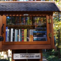 Library-Sandy-Springs-Georgia