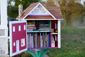 Library-Traverse-City-Michigan