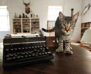 Hemingway House cat by EH typewriter