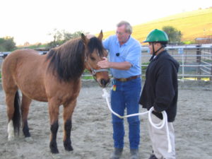 VR Doug instructing with horse